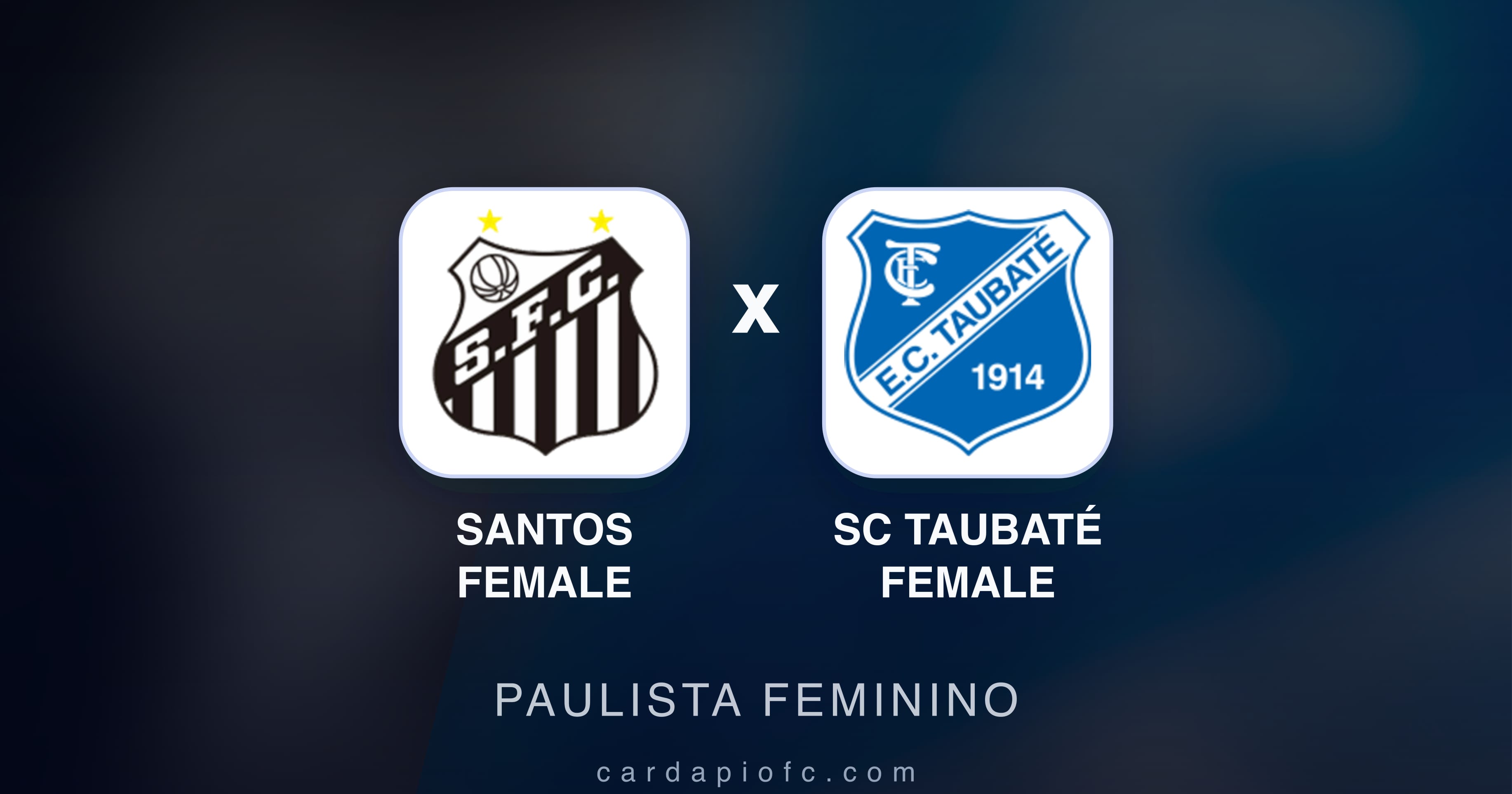 Preview image for Santos Female vs SC Taubaté Female (Paulista Feminino)