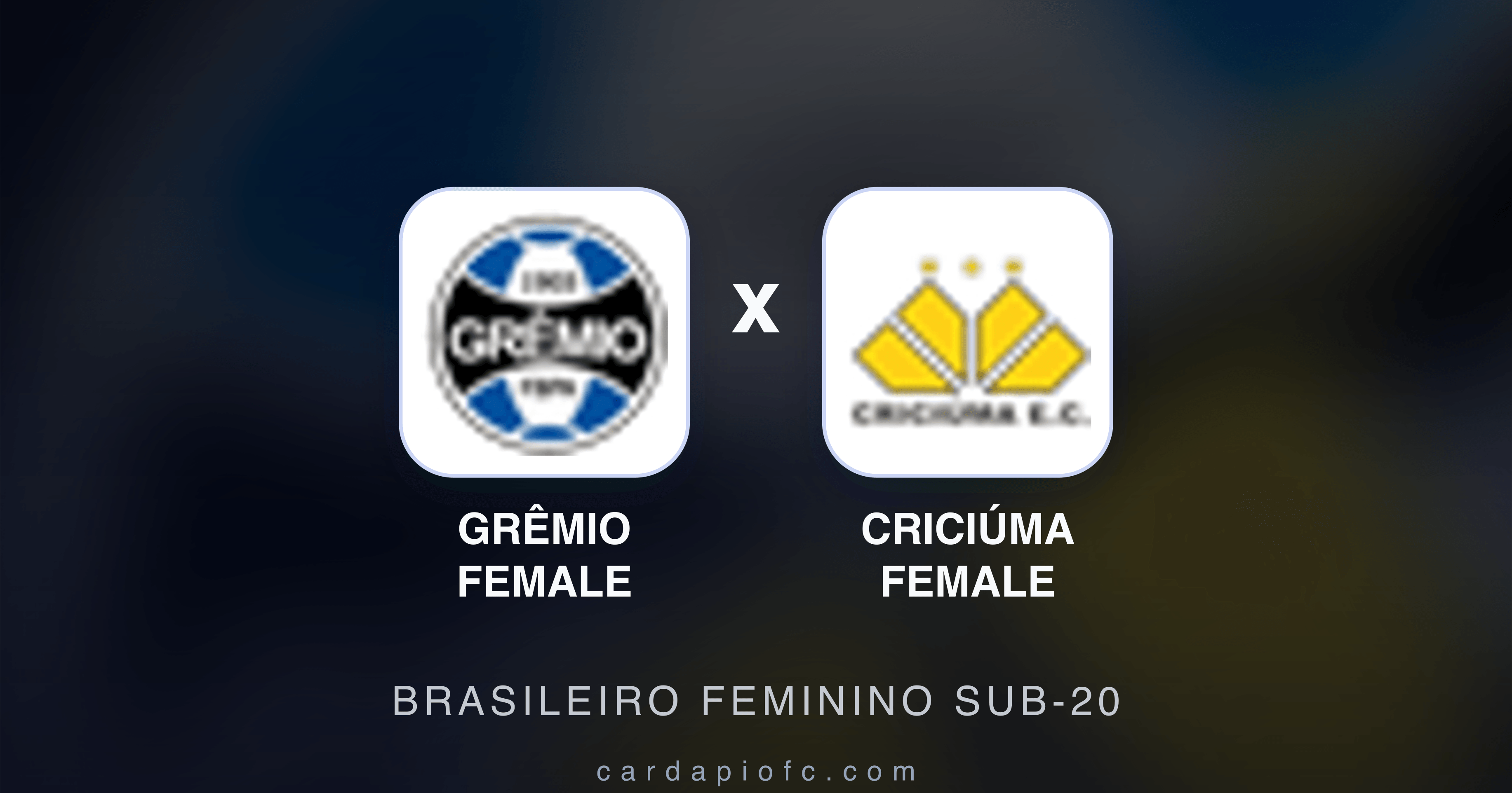 Preview image for Grêmio Female vs Criciúma Female (Brasileiro Feminino Sub-20)