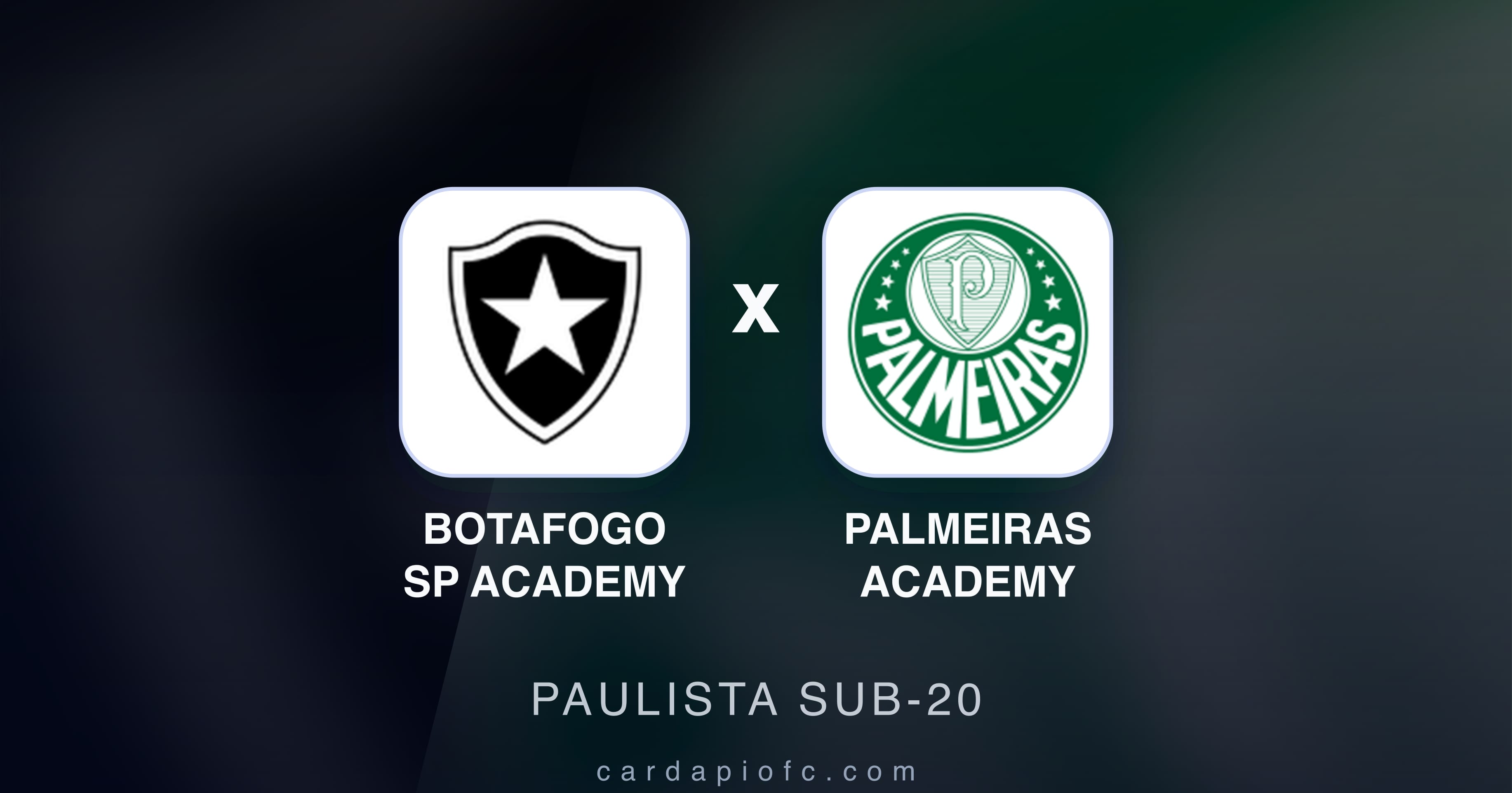 Preview image for Botafogo SP Academy vs Palmeiras Academy (Paulista Sub-20)