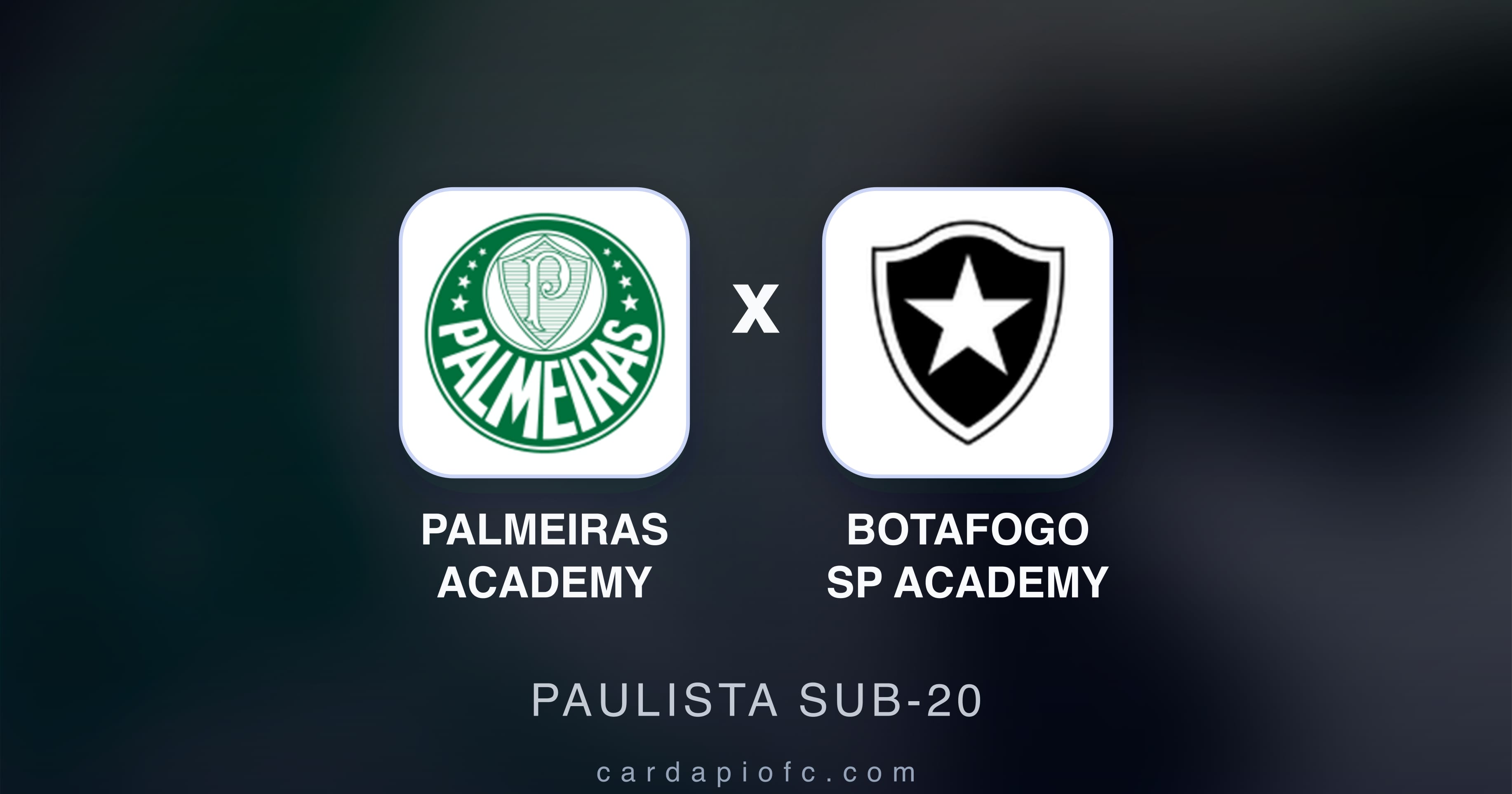 Preview image for Palmeiras Academy vs Botafogo SP Academy (Paulista Sub-20)