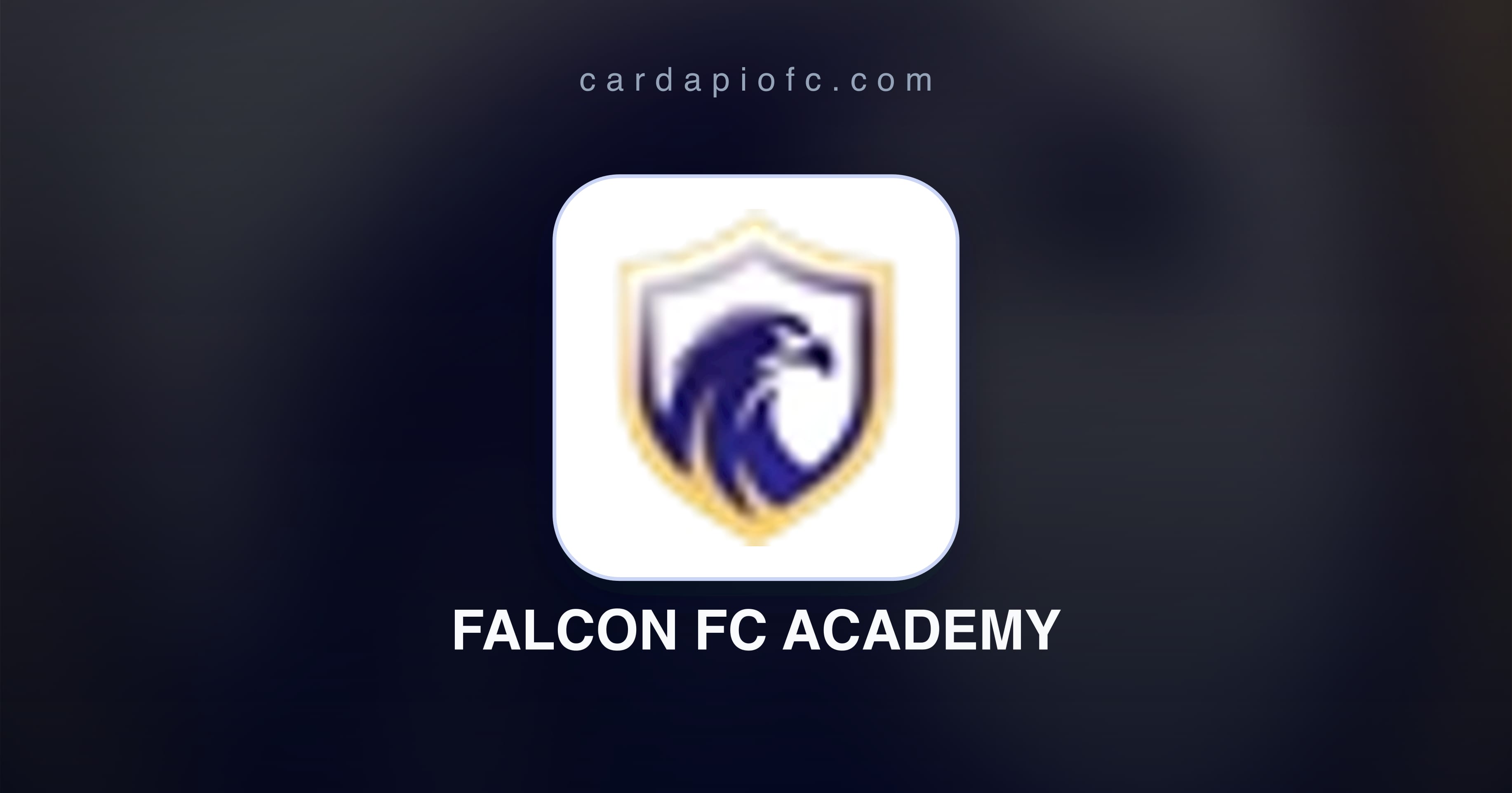 Falcon FC Academy in Copa SP de Futebol JR | CardápioFC - Watch ...
