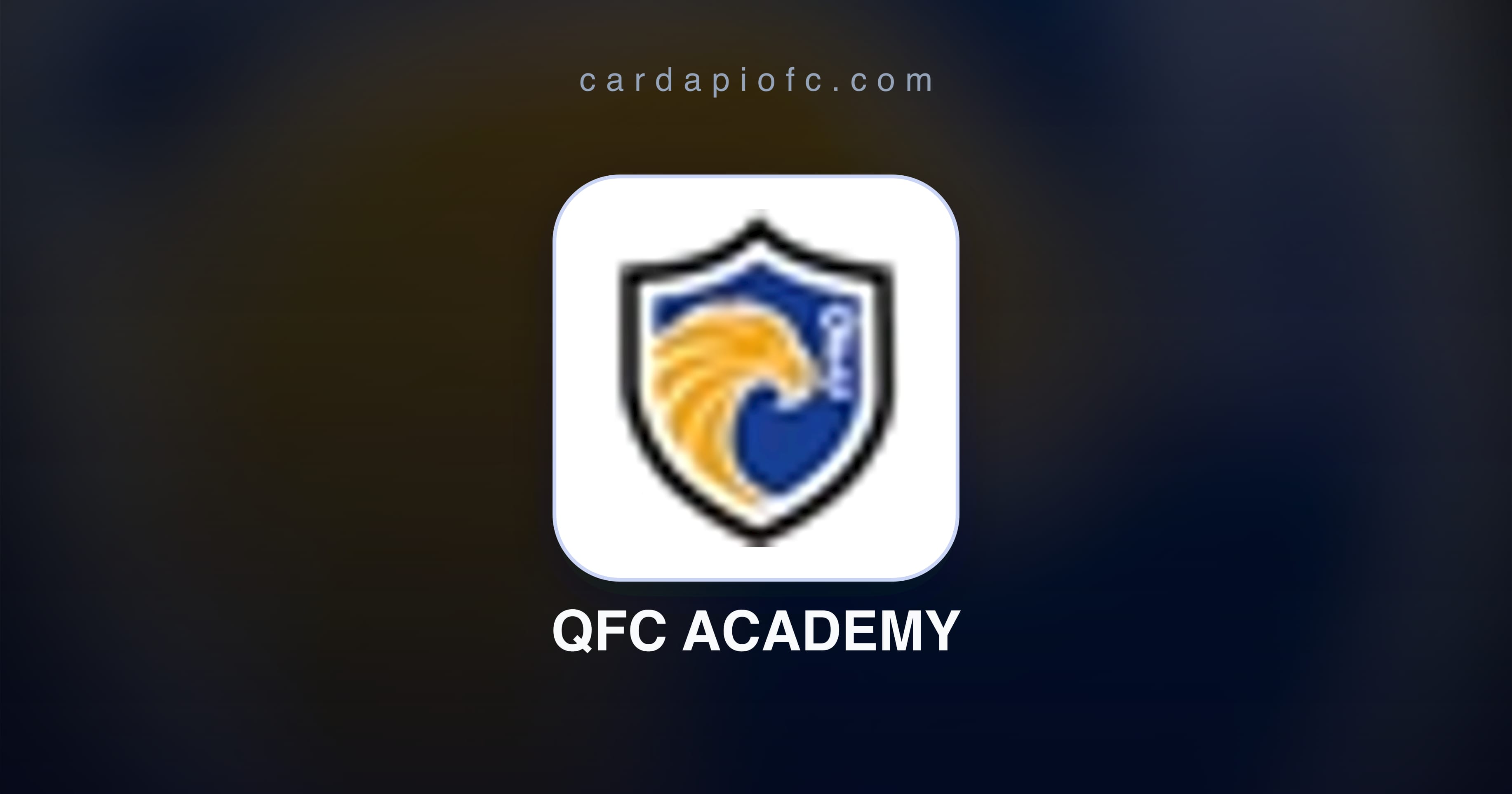 Qfcx QFC Academy in Copa SP de Futebol JR | CardápioFC - Watch football ...